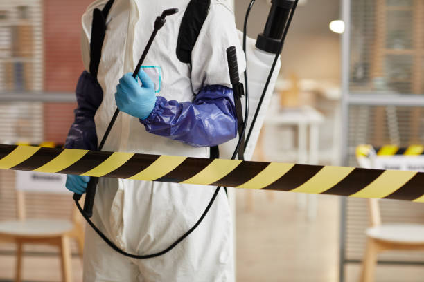 Professional Hoarding Cleanup technician working in Hillsboro, WI